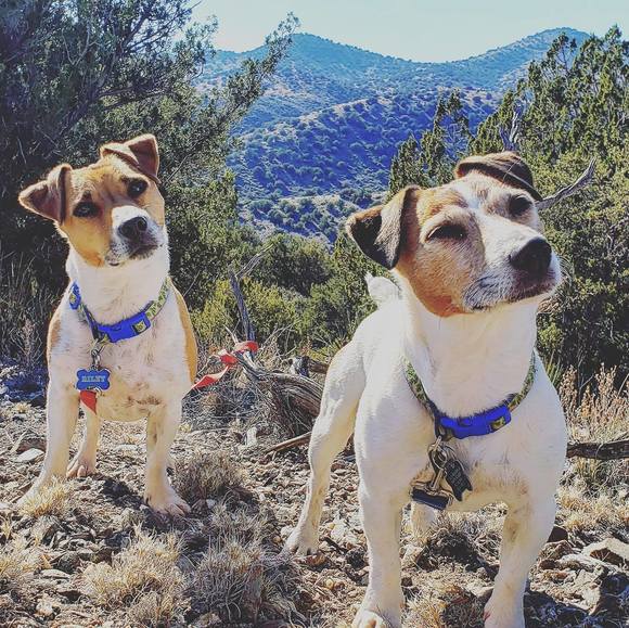 Meet your Posher, Kristen - Picture 1 of 1